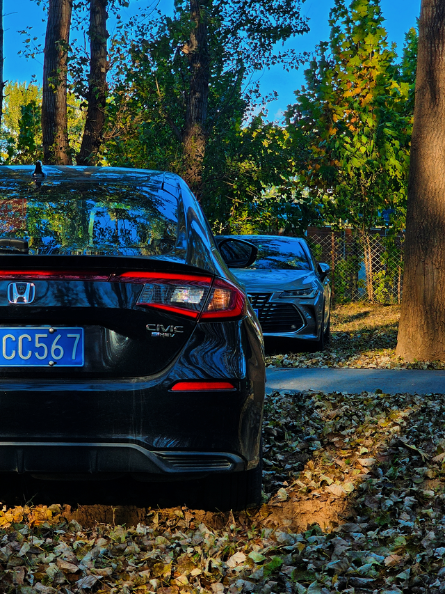 秋日的本田思域美到犯规我的车车是东风本田思域混动2箱极耀版！配置为2.0自然