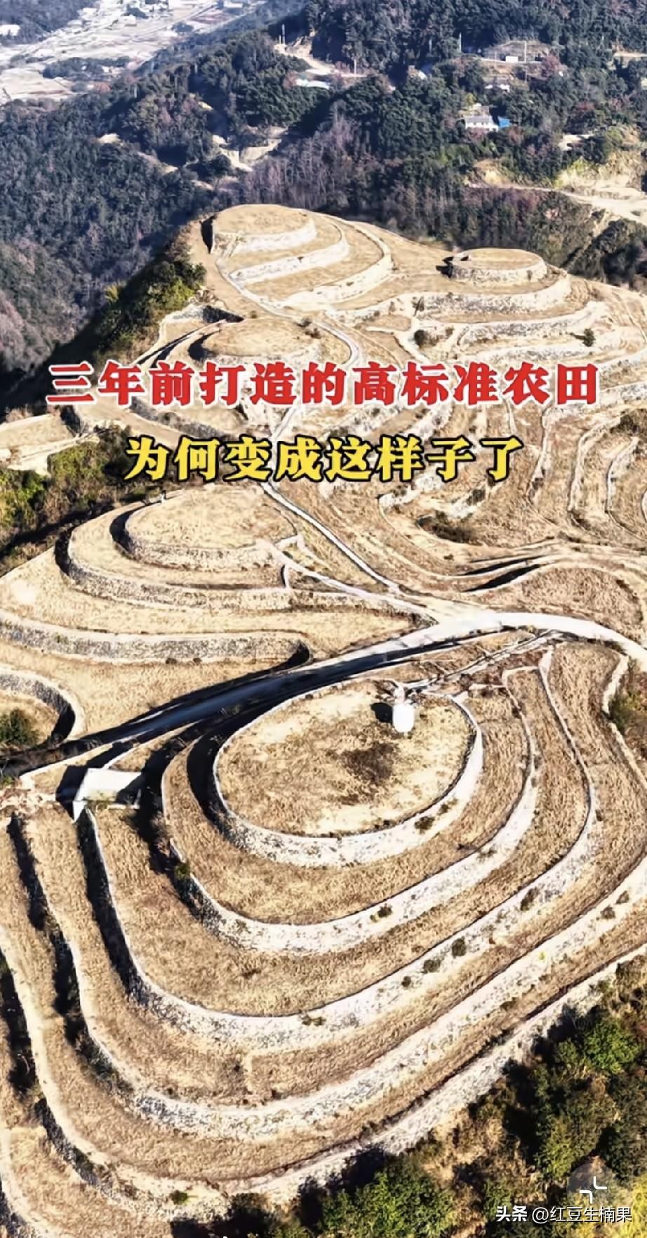 这样荒废真的太可惜了，这么好的高标准农田应该能产出不少粮食吧。当初建设的时候肯