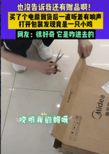 “意外的惊喜！”黑龙江一女子网购一台电风扇，到货后听到包装箱内有异响，谁料，将箱