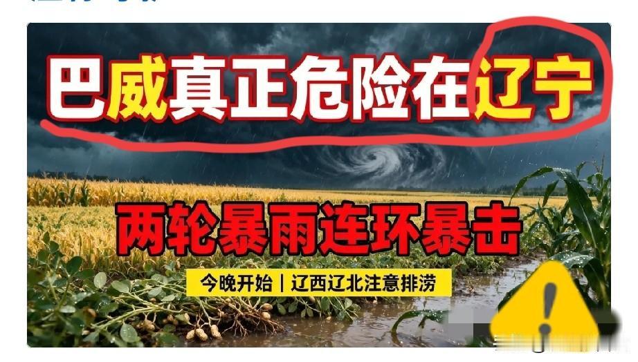 风险预警！巴威虽不登陆辽宁，却是今年猛烈天灾！辽宁农民赶紧避险！不少辽宁老