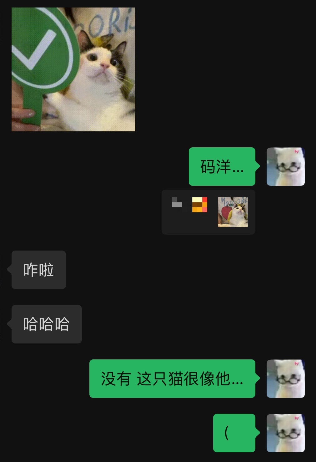 一看到猫就条件反射的我vs不明所以的圈外朋友