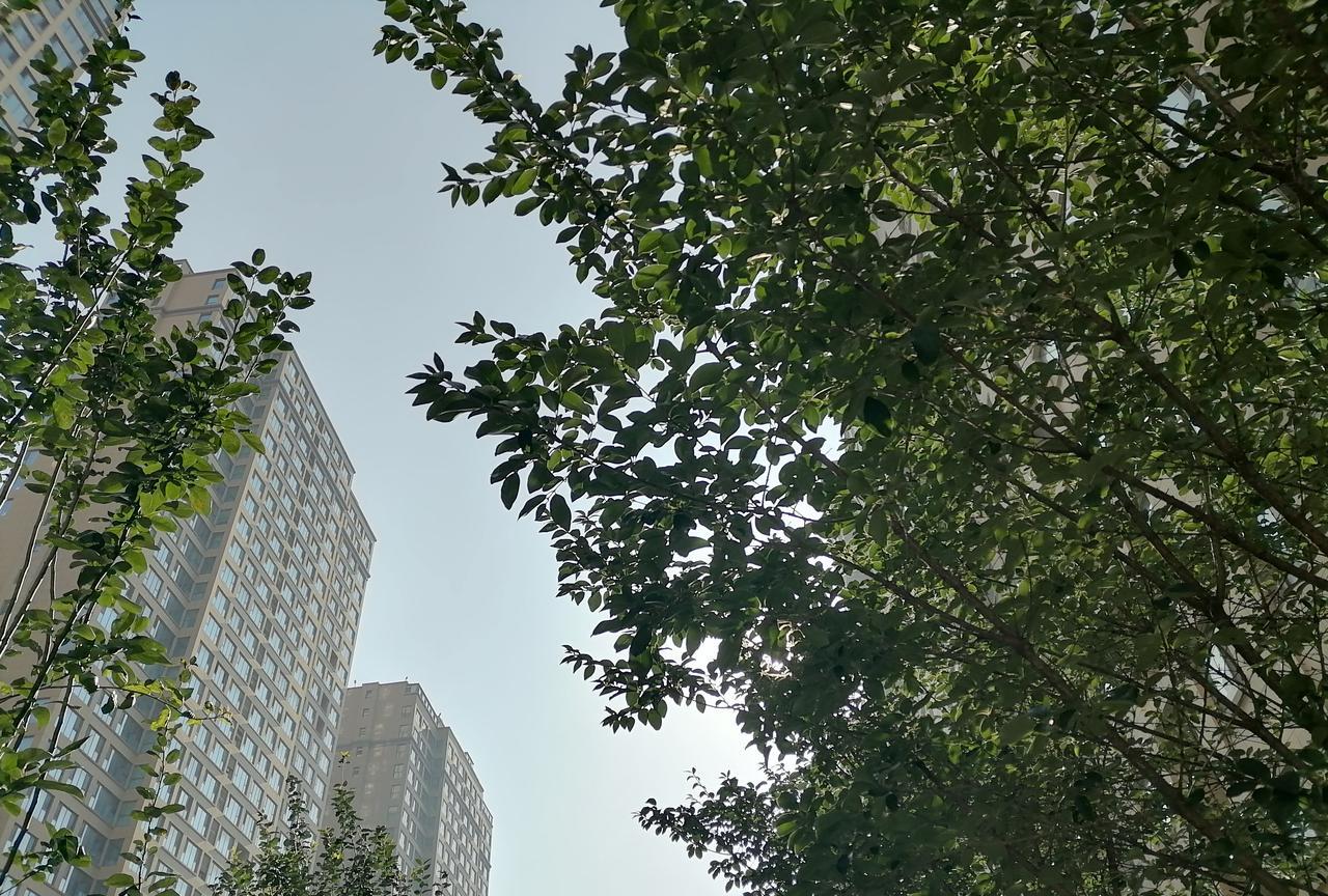 山东理工大学短期内不会考虑搬迁学校了，因为淄博市太重视这所学校了，从今年毕业典礼