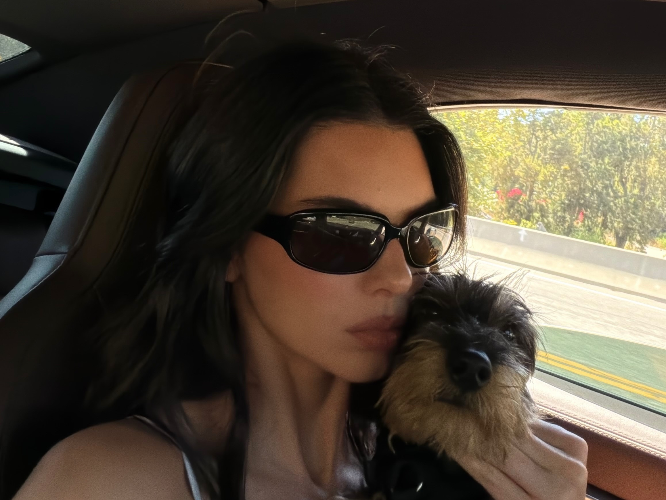 KendallJenner分享近日生活🖼️和Jacob一起养了新狗狗