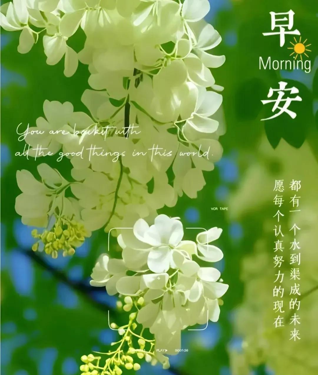 早上好，今天是6月9日星期一。在昨晚进行的世联赛北京站最后一场比赛中，年轻的中
