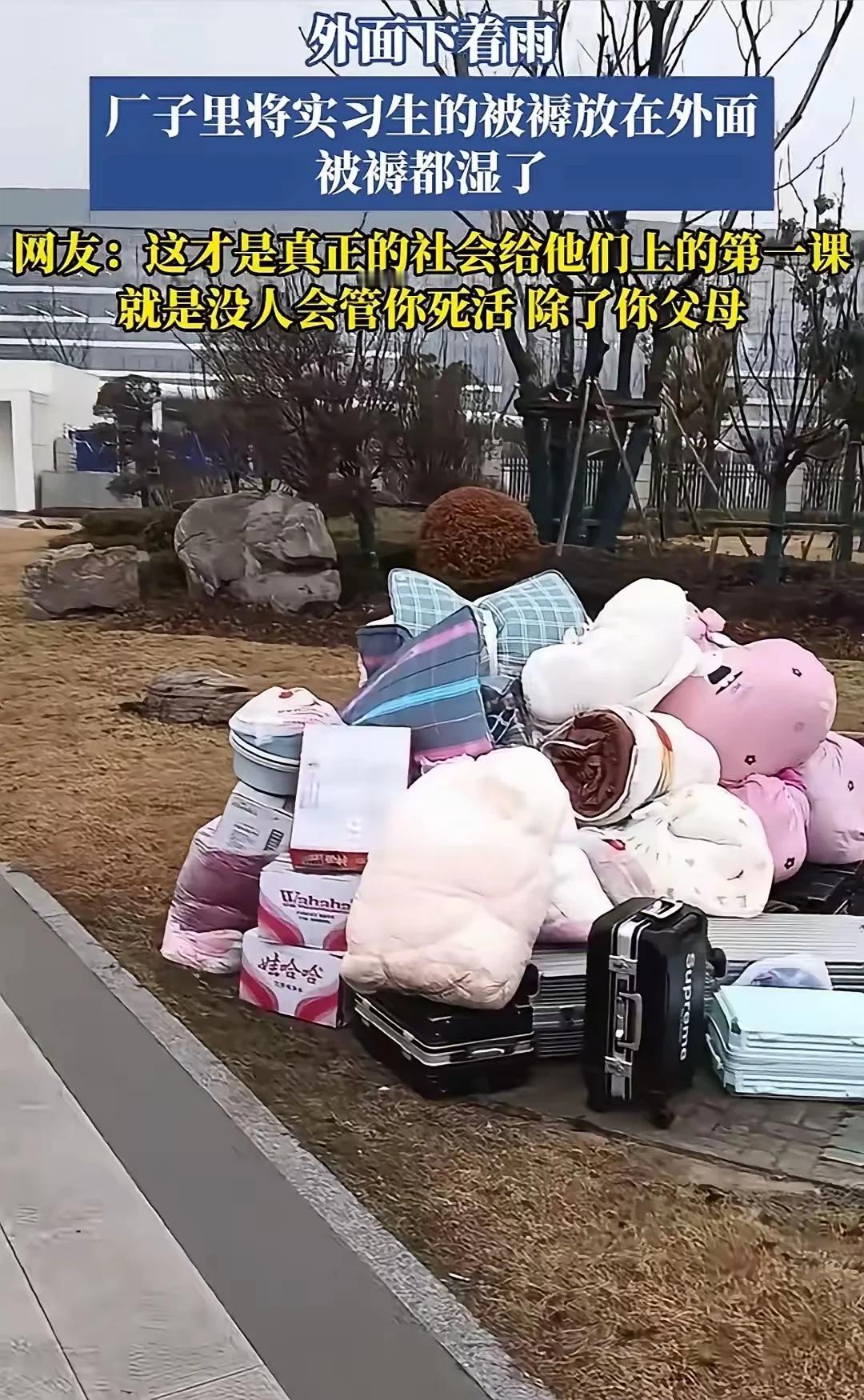 1月20日，安徽芜湖。天某电子厂。一群实习生来到工厂报到。他们把行李箱和被褥堆