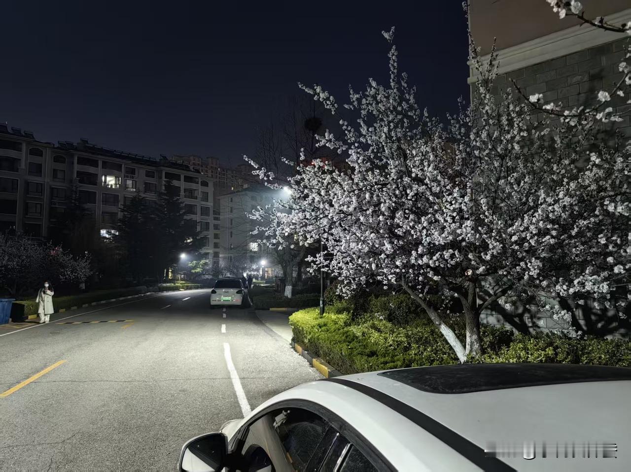 心寒呀，公司裁员这是专挑老实人下手吗？女儿一毕业就到一家公司，近10年了，现