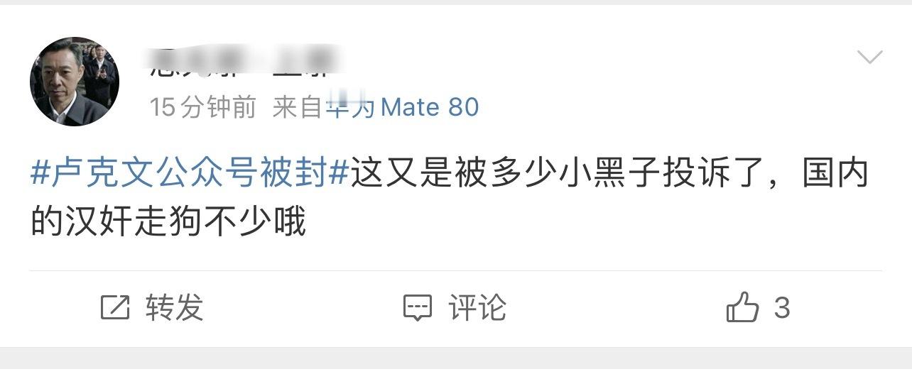 “地摊战略家”陨落其粉丝控诉小黑子举报所致……卢克文公众号被封