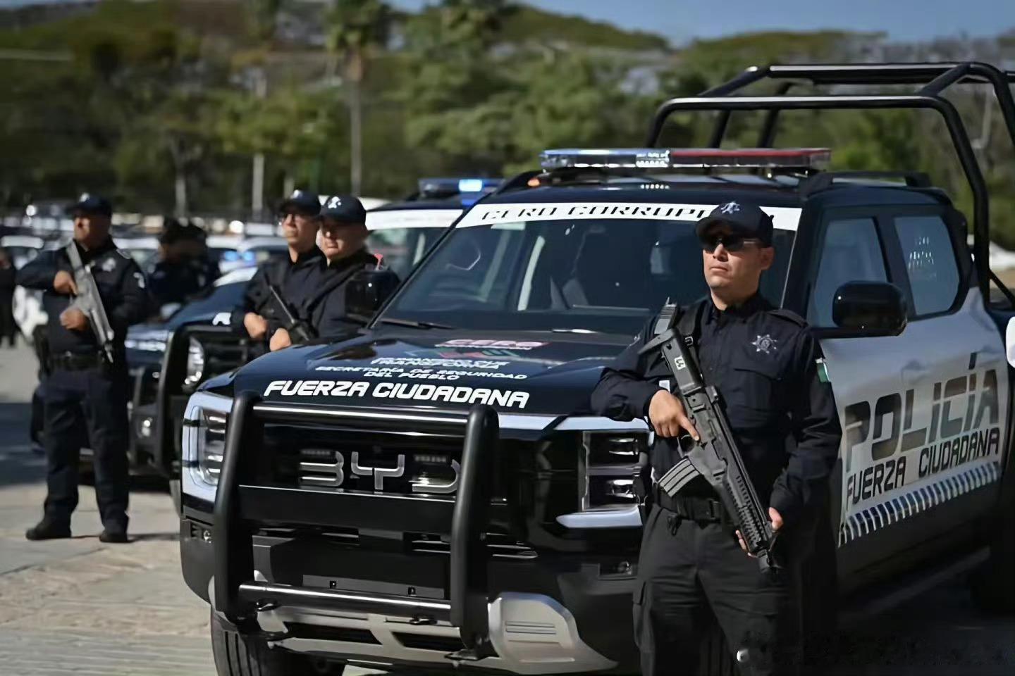 千呼万唤！鲨鱼皮卡的资质终于来了！等了快两年的BYDSHARK，终于国内能买了