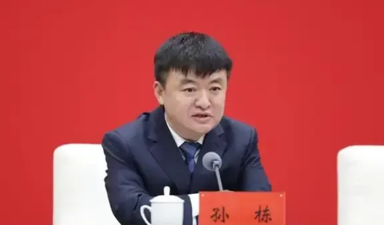 孙栋终于是太贪了，35岁就是正处，43岁就是副厅，能力上出众，职级上飞升，地位显