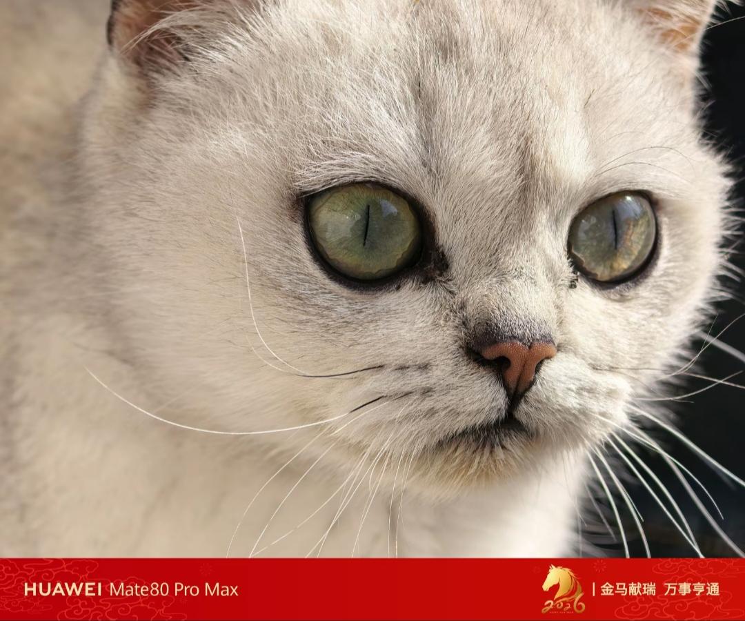 华为红枫影像一直都是余承东引以为傲的存在，这三张照片证明，余承东所说的Mate