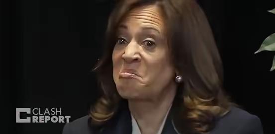 美国政坛又被点燃了一把火。前副总统卡玛拉·哈里斯在社交平台发文，毫不客气地批评了
