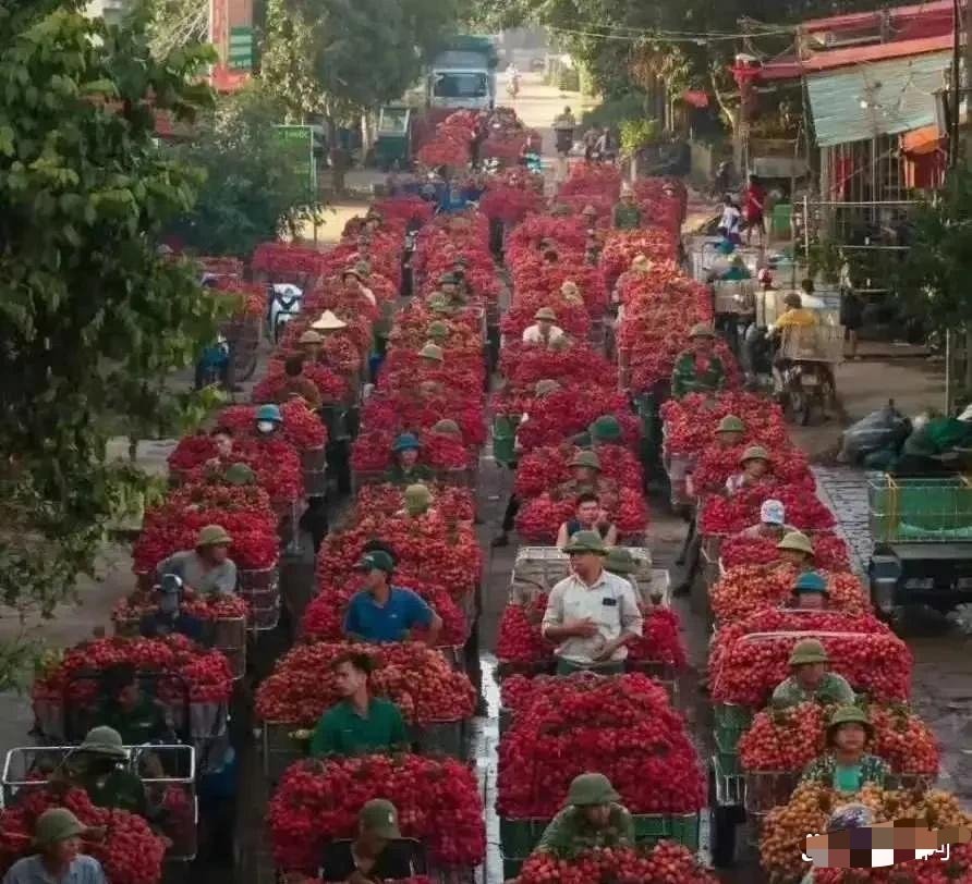 都要烂大街了，为什么也不降价？
