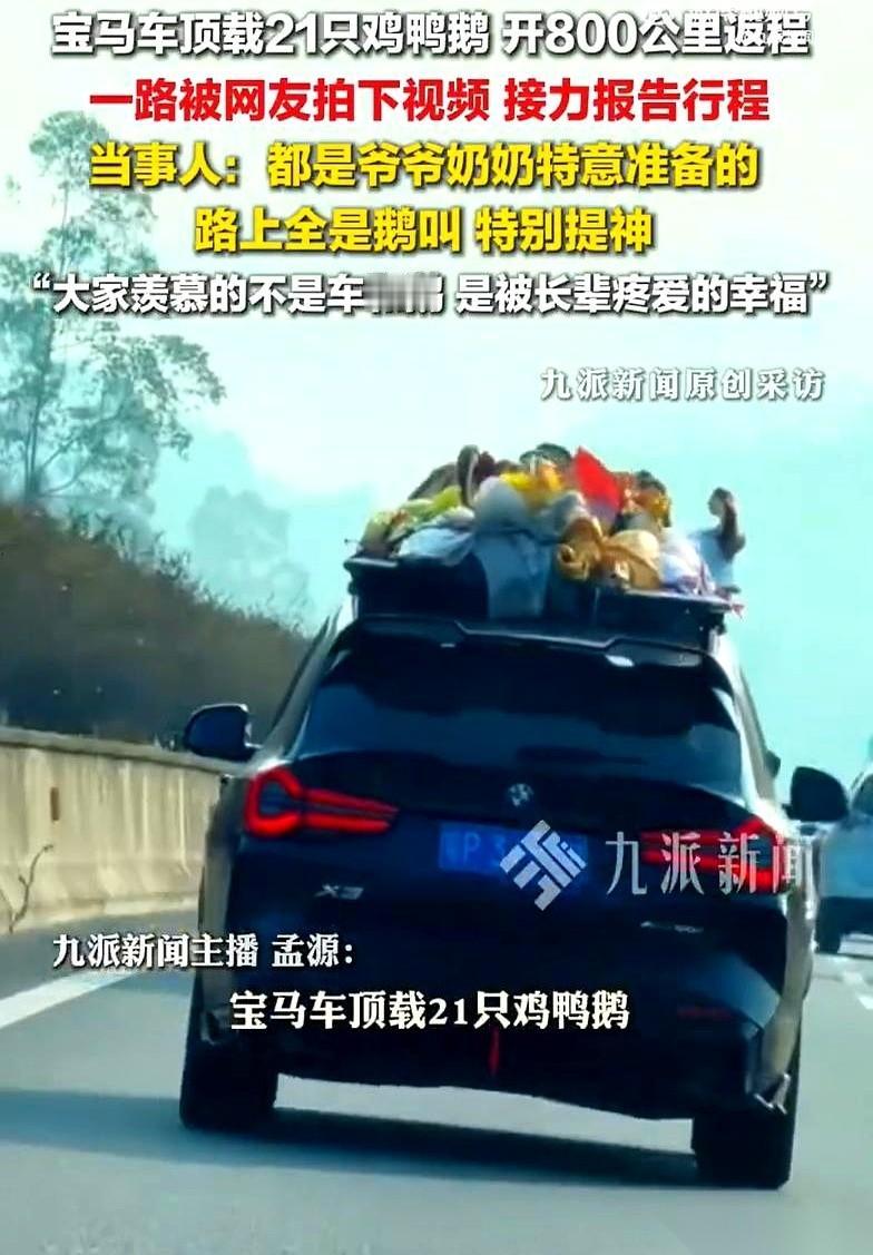 一辆宝马，车顶上密密麻麻绑了21只活的鸡鸭鹅，就这么从广西出发，上了高速。目的