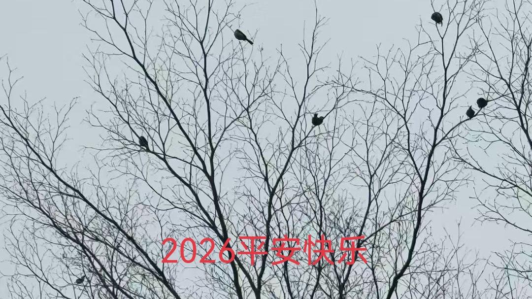 女人真正放不下的，永远是这10种男人1. 在外有气场，在家有温柔​2.