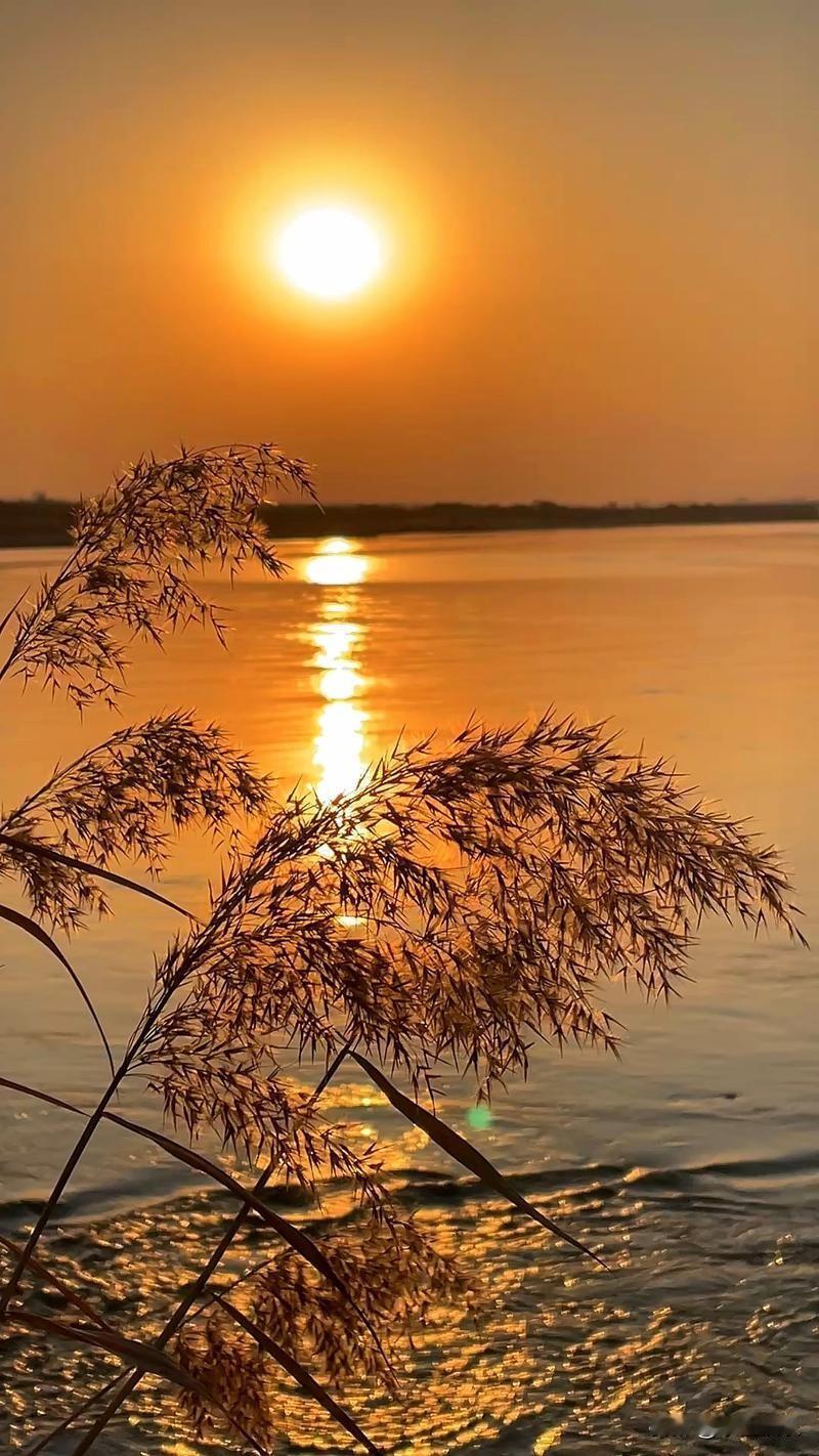 一件令人愤怒的事，真人真事。是去年的事，说是上面下命令，家家户户亲人的坟墓都要