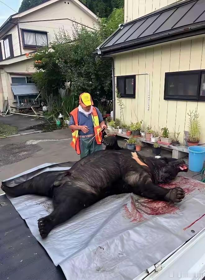 这要是国内，得踩多少年缝纫机？[doge]​​​