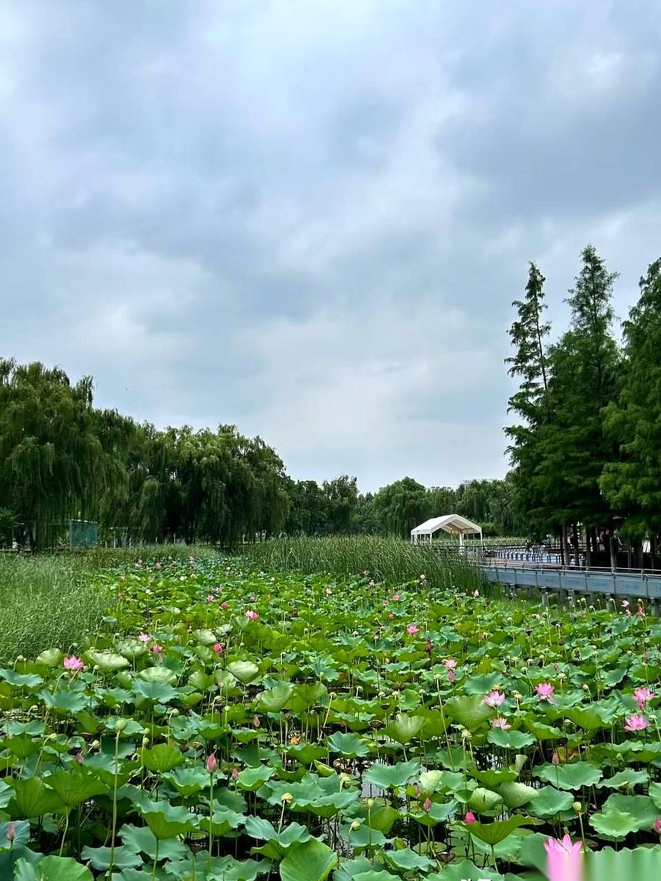 最近看到个帖子，说退休后的“顶级老公”是啥样的。第一条就说，养老金得过七千，车房