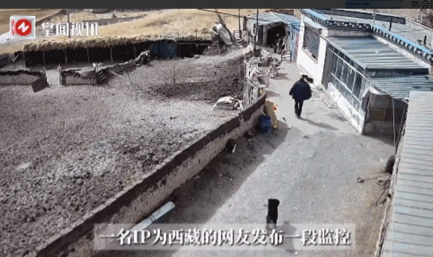 “电视剧都不敢这么演！”近日，西藏，一位大爷回家的途中，突然被一条黑色的恶犬袭击