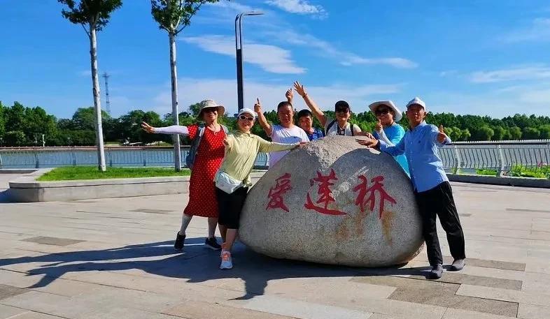 夏日到石家庄赏荷，爱莲桥是绝佳之选。它在长安区太平河公园内，2022年5月开放，