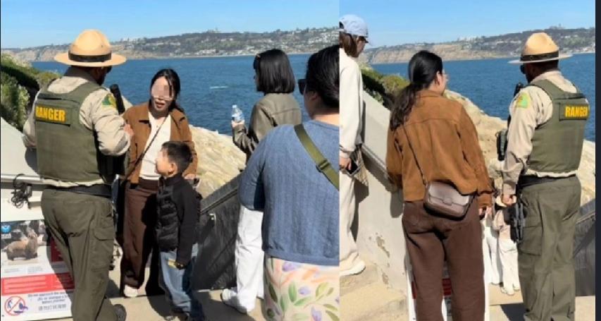 美国加州圣地亚哥知名景点拉霍亚湾（LaJollaCove），日前一个中国家庭
