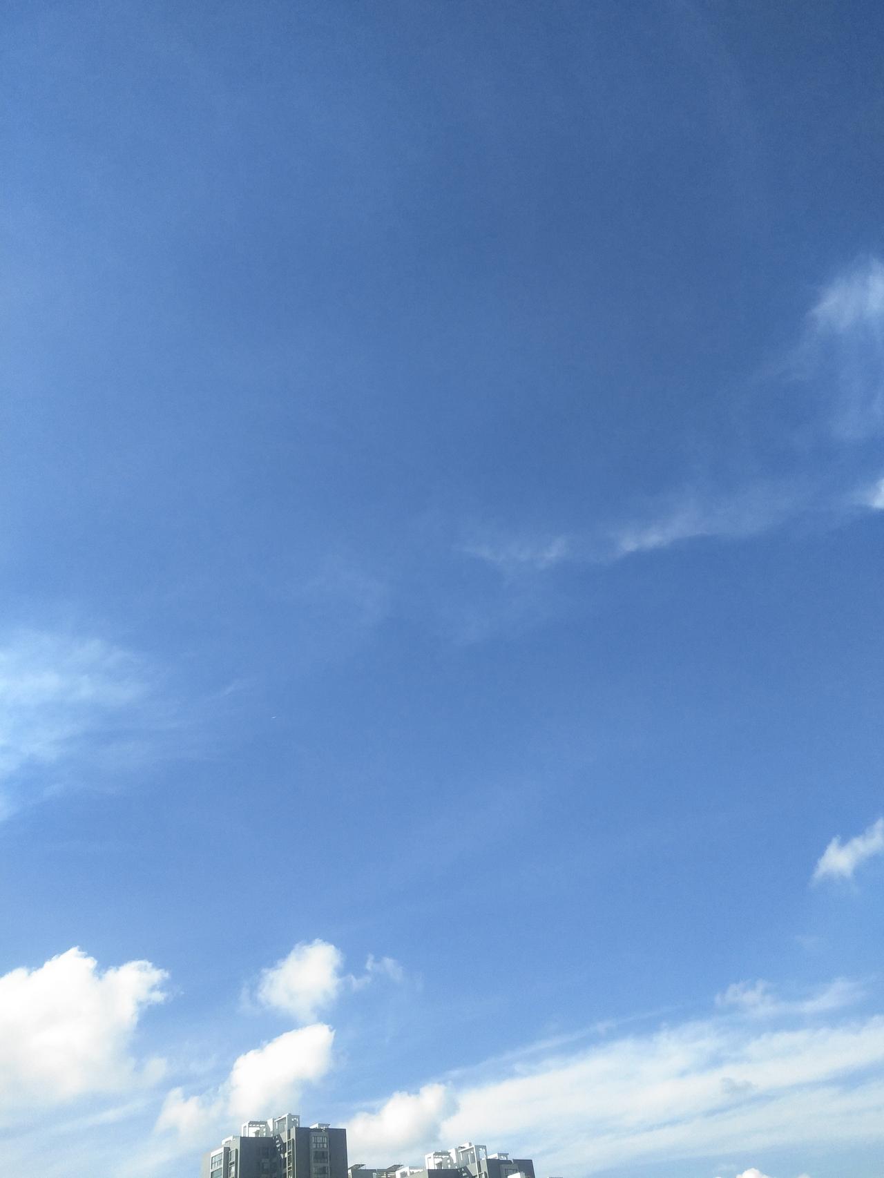 最近每天都天晴，白天太阳火辣，早晨有些冷，每天都看到有天气预报说霜冻预警。想起