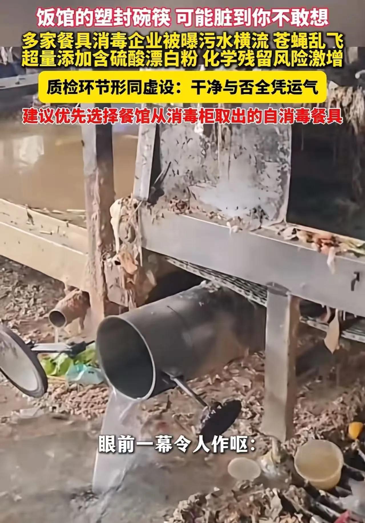 塑封碗一撕开，里面夹着一团用过的纸巾，油渍、口水印都在，外面还印着“已消毒”三个