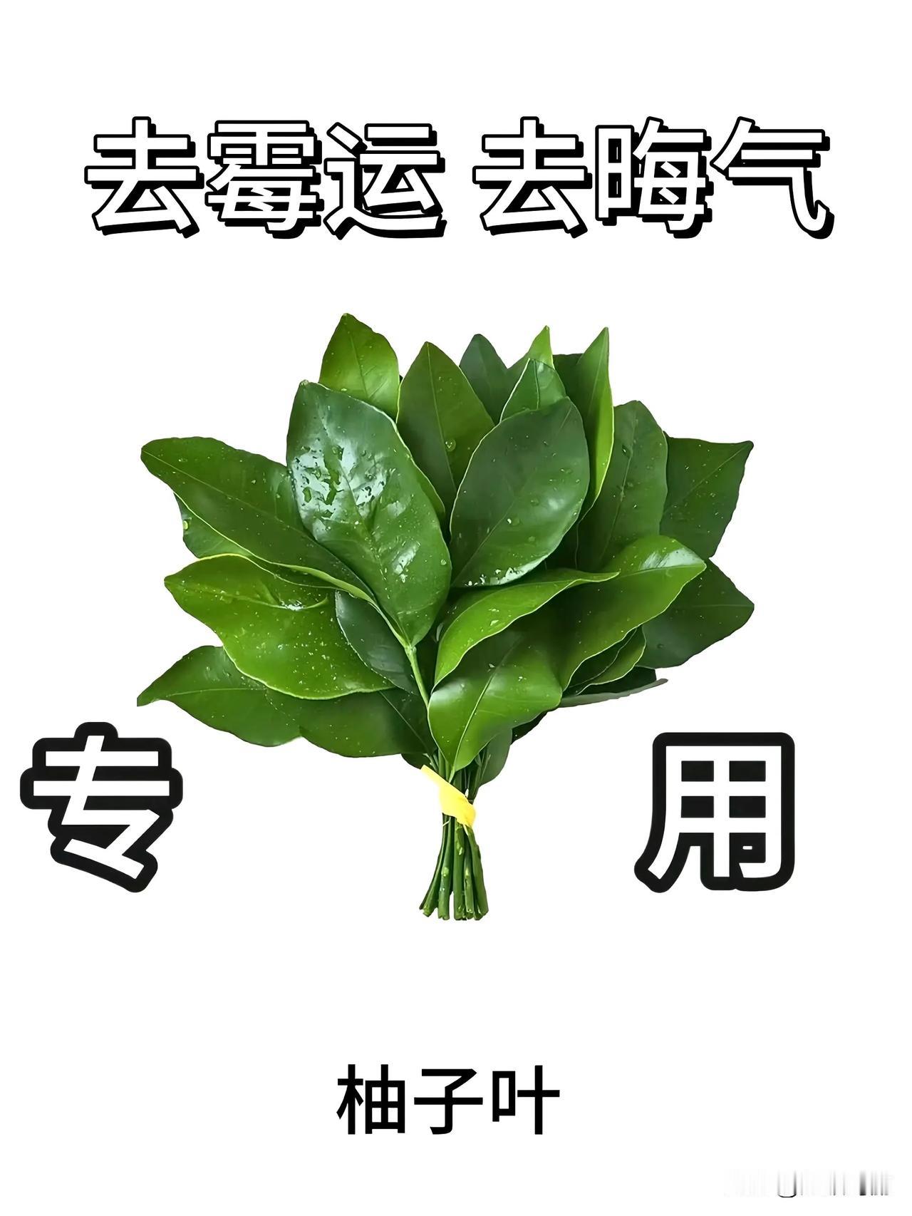 2023年9月开始同居2023年12月女方怀孕2024年3月举行婚礼彩礼26