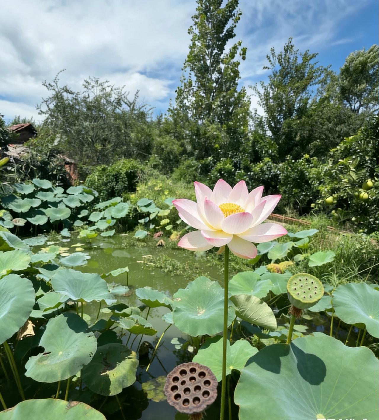 血泪教训：不要跟任何人，包括你的父母，子女，枕边人，分享这三件事人生在世，