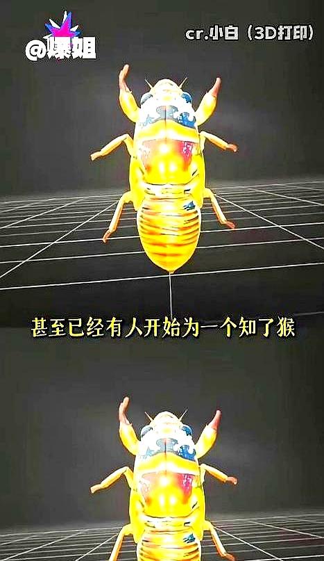 临沂的林子还没彻底热起来，知了猴刚在泥下打个哈欠，热成像先把坐标亮红了。干了二
