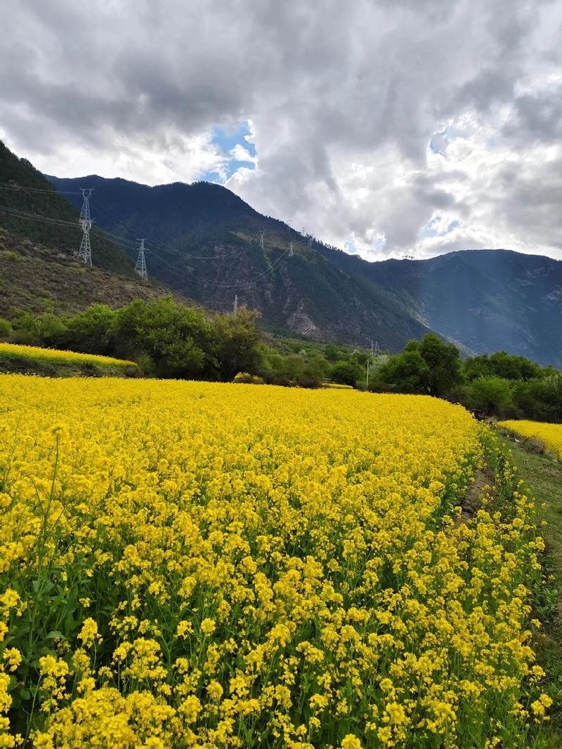 商业航天和AI智能体调整已经超过一个星期，接下来还有戏吗？首先说结论，肯定还有戏