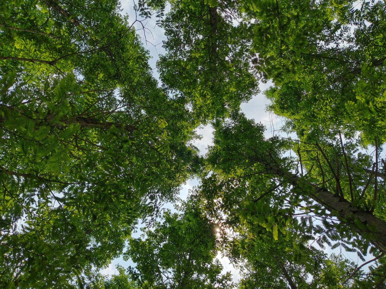 发现没有，A股并不是一个正向投资！企业需要发展，来A股上市融资，股民购买了上市