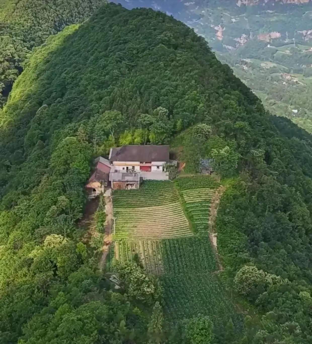 鄂西农村，山里独居的农家。生存环境那么差，为啥不搬出去？