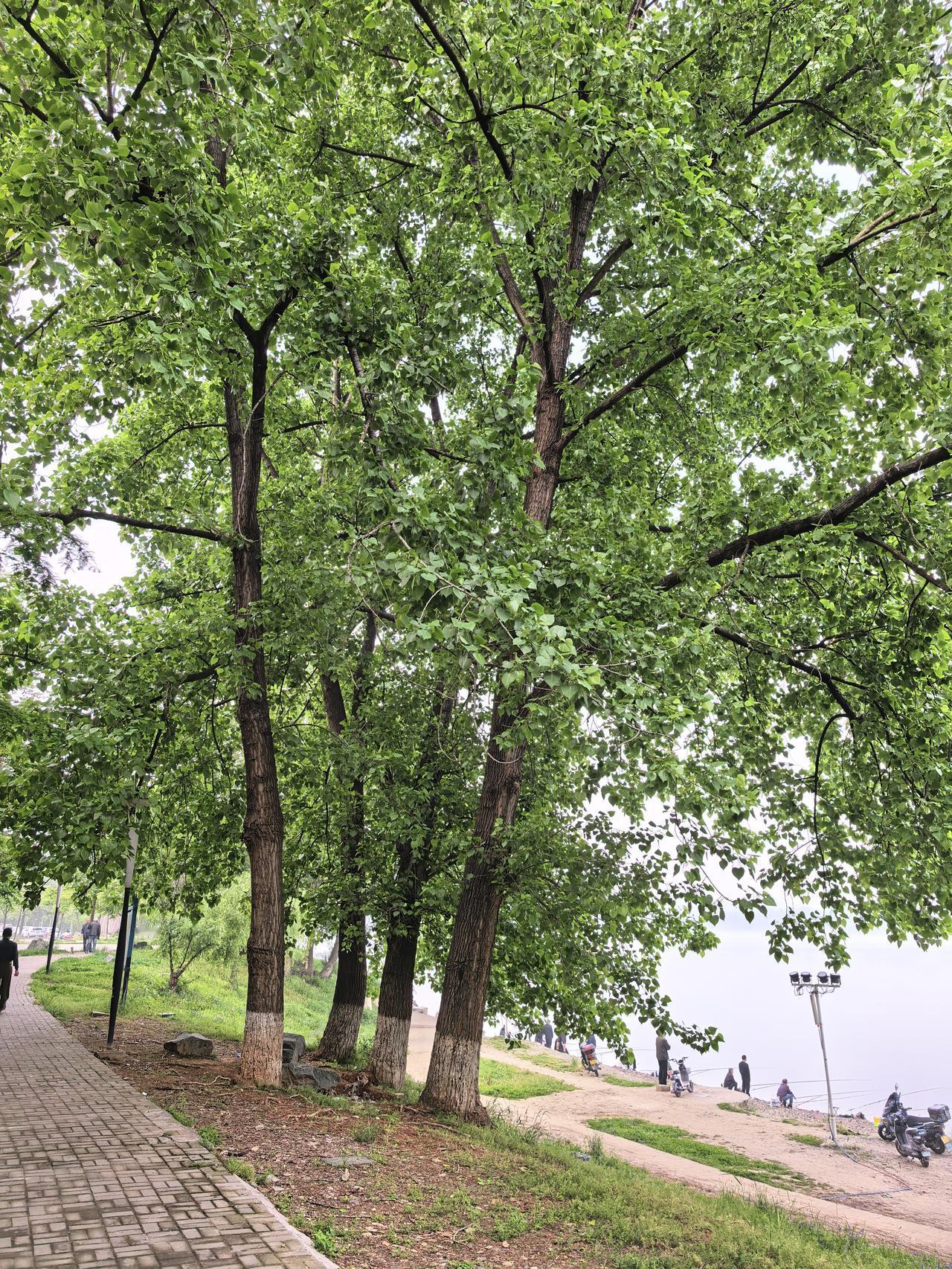 圣人成仙以后，明白了佛教的美中不足之处。我们知道，佛教是释迦牟尼佛创立的，目的是