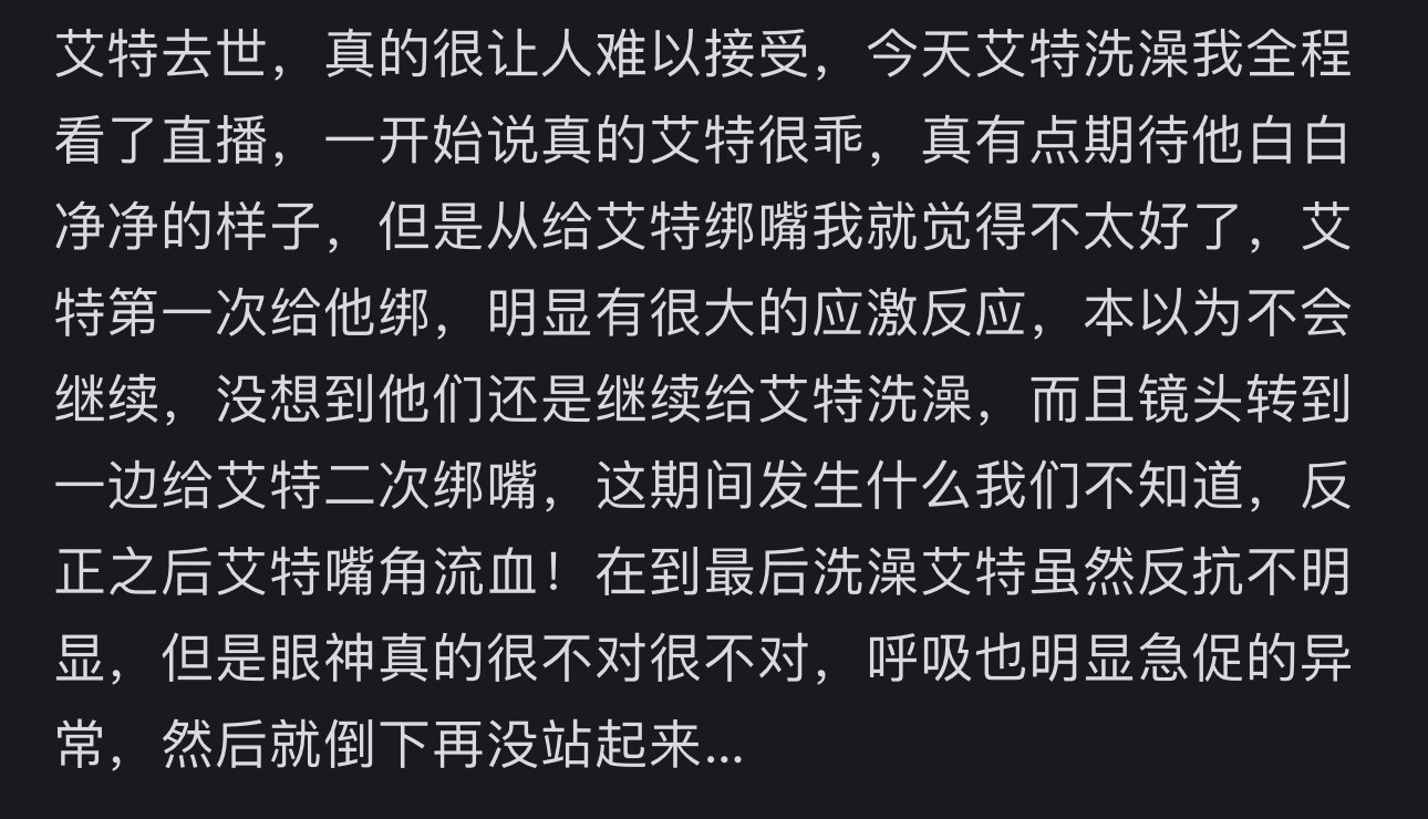 网红小狗艾特去世这不就是吃狗血馒头……艾特下辈子一定要做一只幸福的小狗[哭哭][