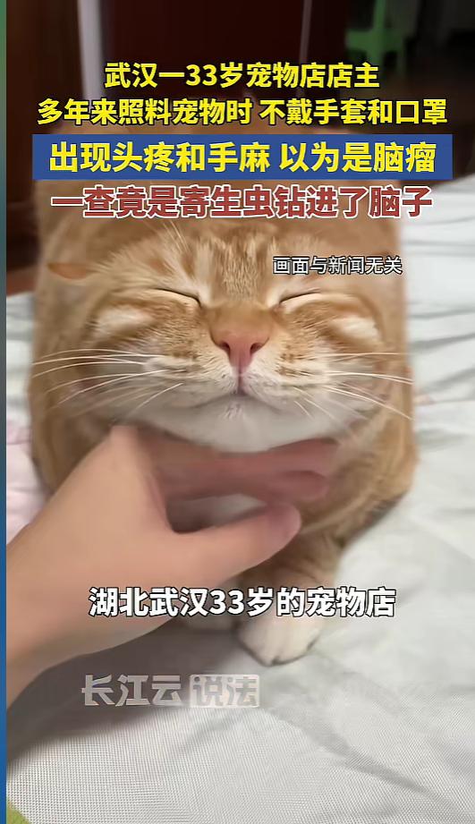 “万万没想到！”近日，湖北武汉，一位宠物店店主多年来间断性的头晕头疼，他也一直没