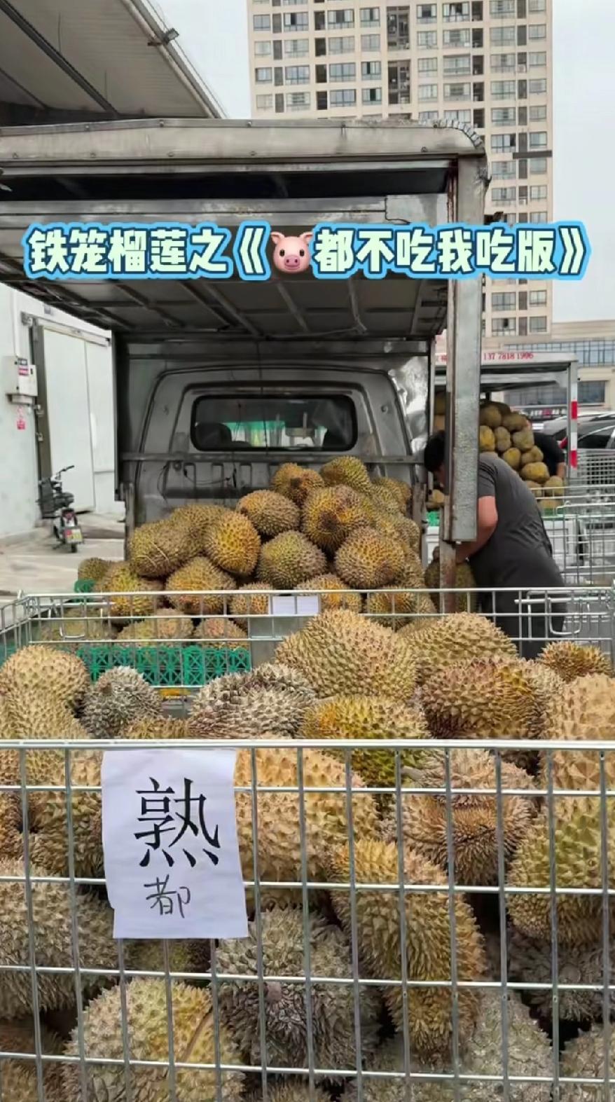 猫山王飙到150块一公斤，钱包先喊疼。别急着骂中间商，马来西亚新出的“益生菌