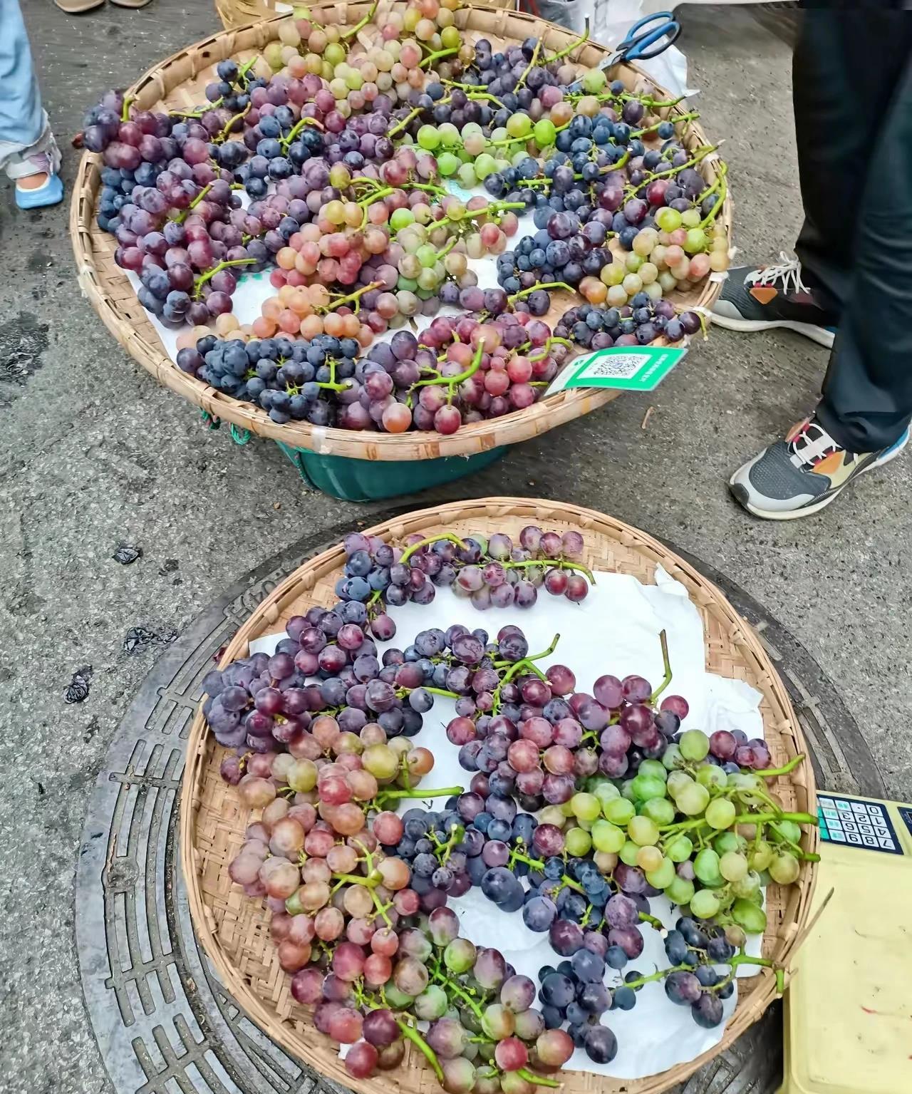 遇上这样的葡萄🍇，大家会买吗？