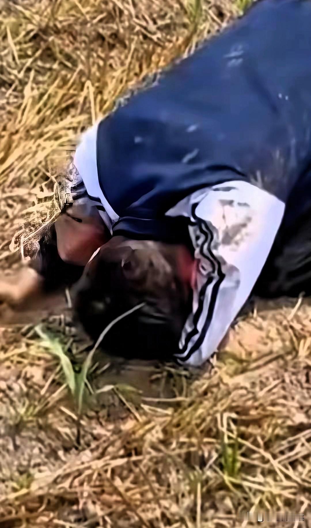 泪目了！男孩父母双亡，独自生活了13年，刚填好志愿，就要被录取了，田埂上跪地