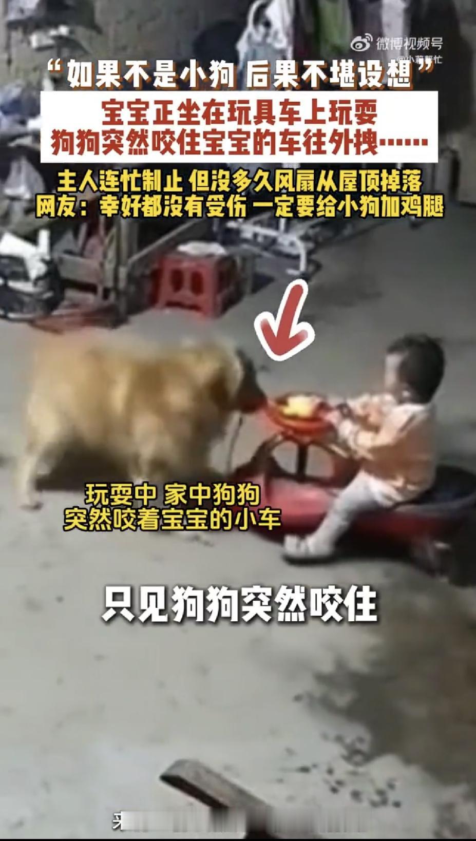 “万物皆有灵！”广东河源，一段家庭监控视频在网上疯传。视频里，一个宝宝正坐在玩具
