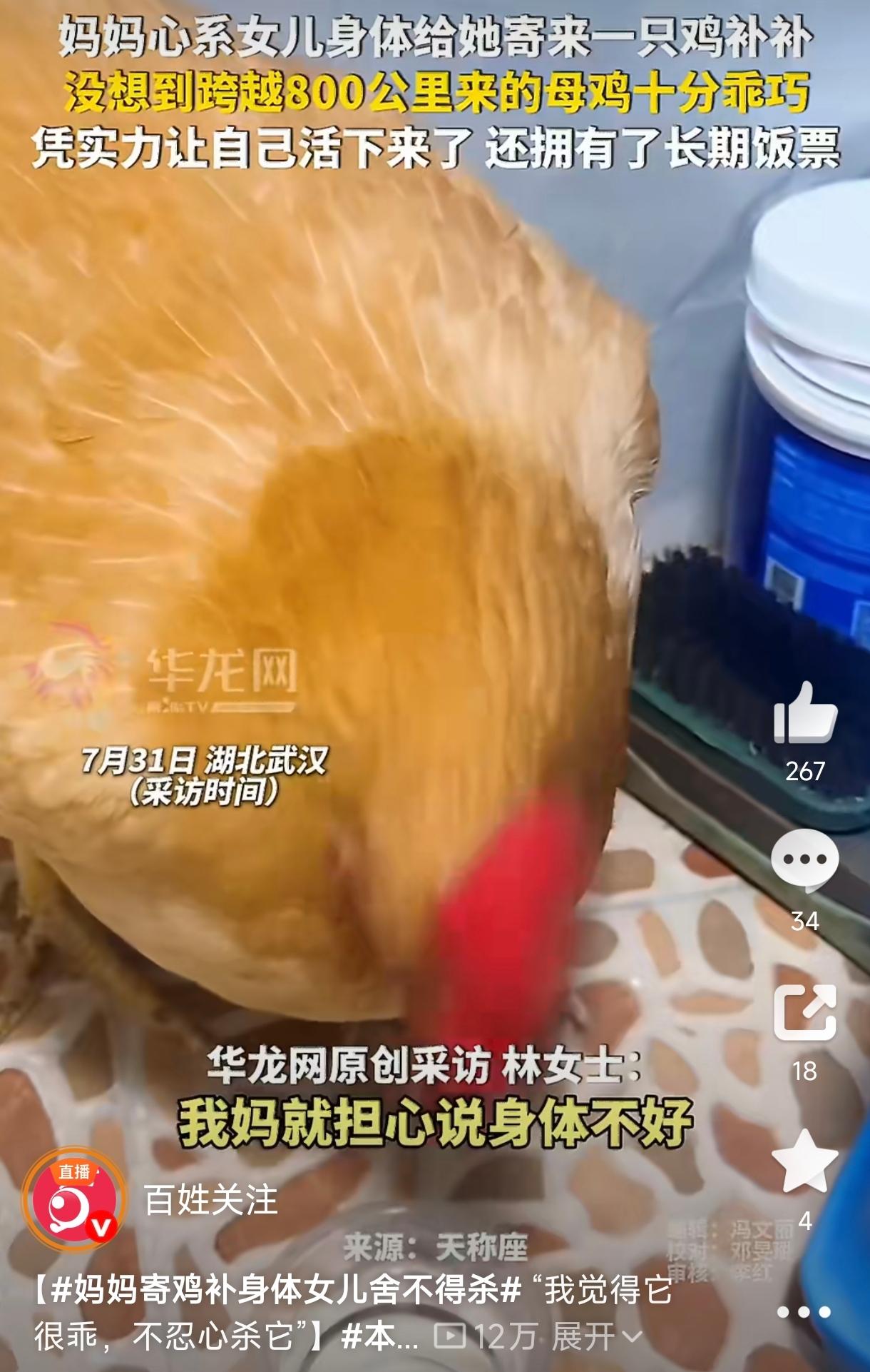 笑不活了！湖北武汉，一女子贫血，老妈特意从广东老家寄来土鸡补身。本该是锅中鲜汤，
