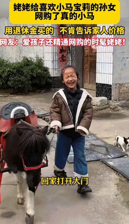隔辈亲是真的!山东,当姥姥学会网购后,真是没有什么是不敢买的。只因外孙女喜欢小马