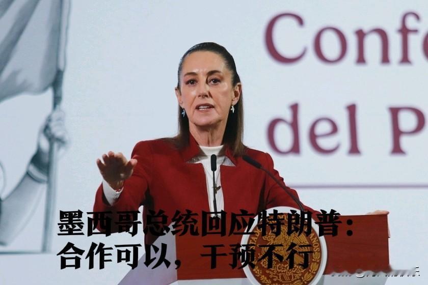 墨西哥总统回应特朗普：合作可以，干预不行据外媒报道墨西哥总统克劳迪娅·