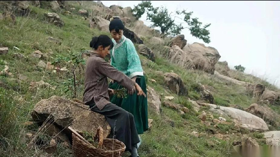 笑死啦！简直是荒唐剧组！杨幂饰演的女主绣绣上山挖野菜！结果在山顶上挖了一筐马齿苋