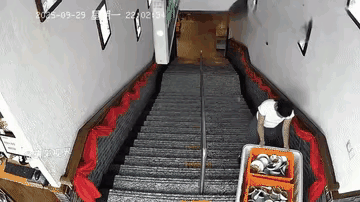 她估计没学好物理，不知道重力加速度[捂脸哭]