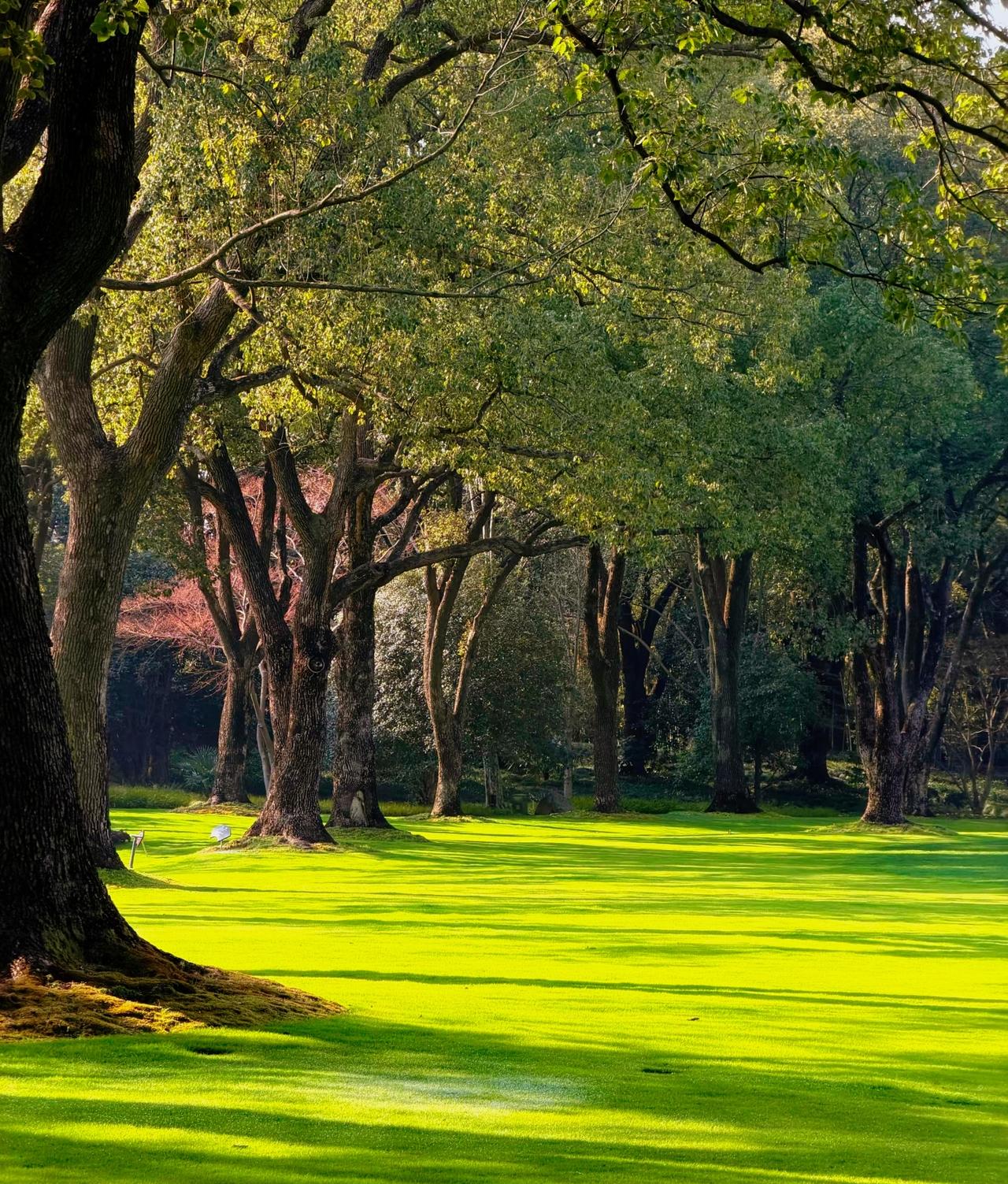 能一直傻下去的女孩子很幸福，我只能那么说。做智慧的人，而不是聪明的人。家妻是我的