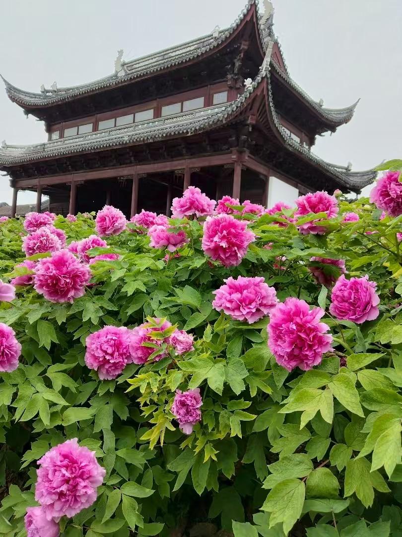 经济越差，反而越赚钱的六类生意：1、男人天生好色2、女人焦虑容貌3、富人贪