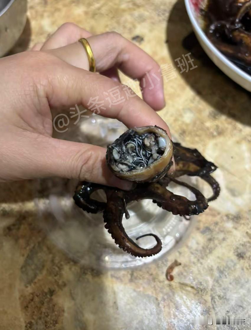 这东西看着像虫子把我恶心得不行，我妈却说不是，真的假的？😭😭