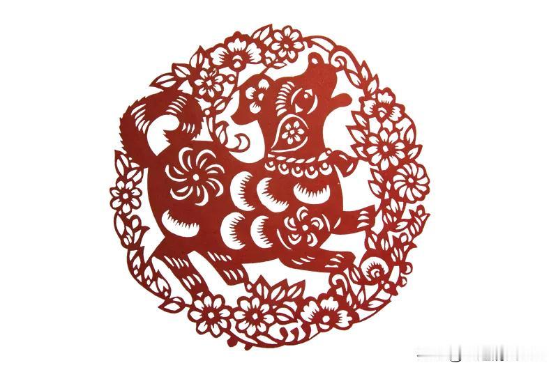7月15日，生肖狗的运势有不少亮点。事业上得按部就班，少掺和职场八卦。之前属狗人