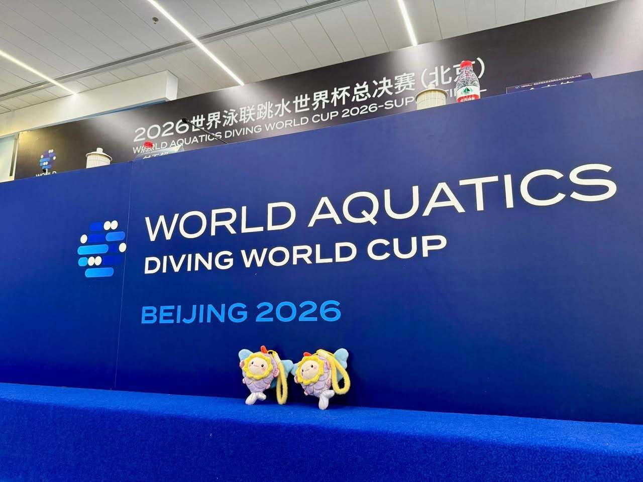 #王宗源郑九源金牌#2026世界泳联跳水世界杯总决赛今日在北京拉开大幕，首个项