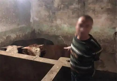 “谁死谁有理？”湖北，一大爷早上去喂牛，突然发现一具男尸躺在牛棚里，背部被戳个血